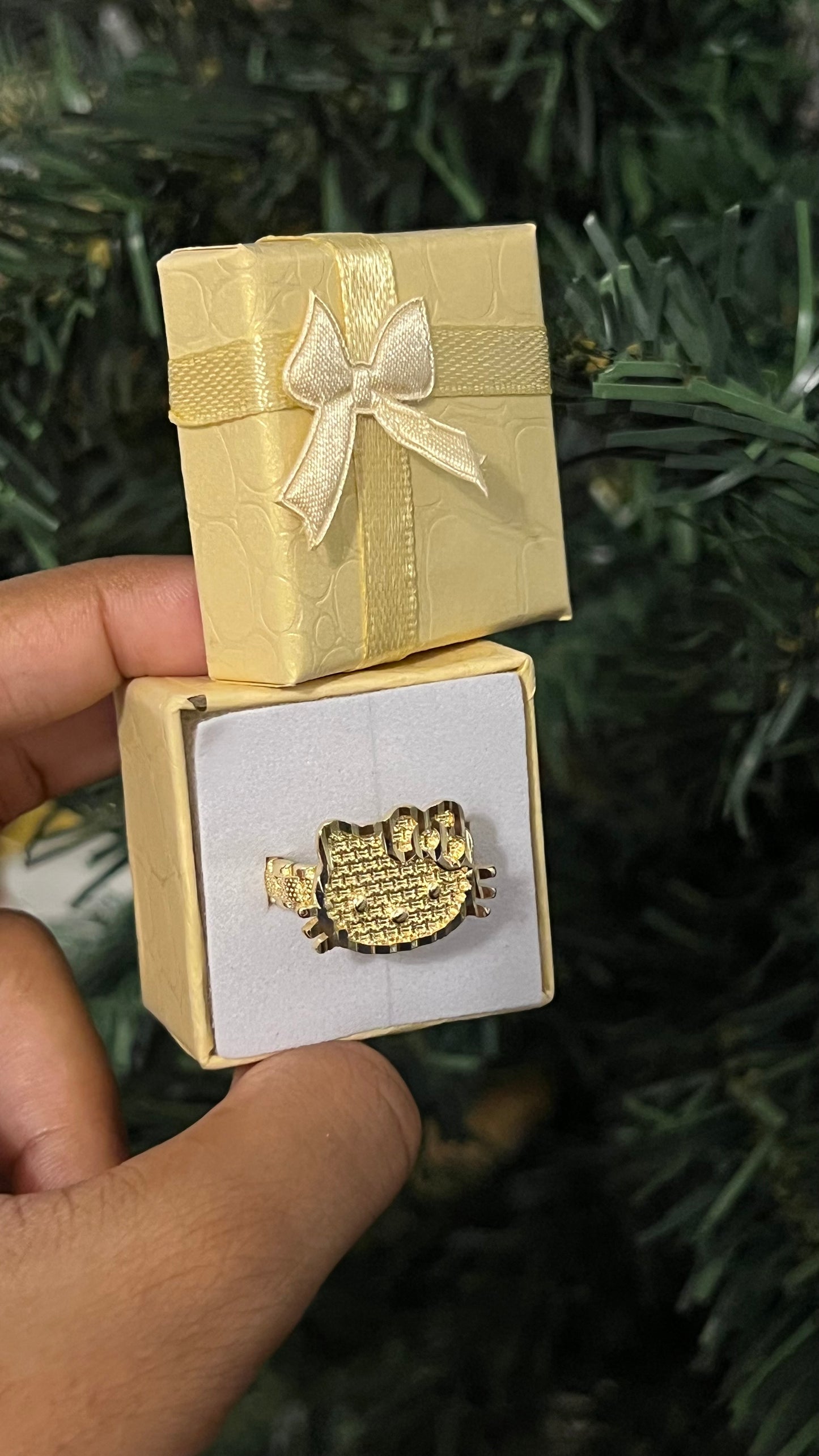Hk Face Ring w Rx band