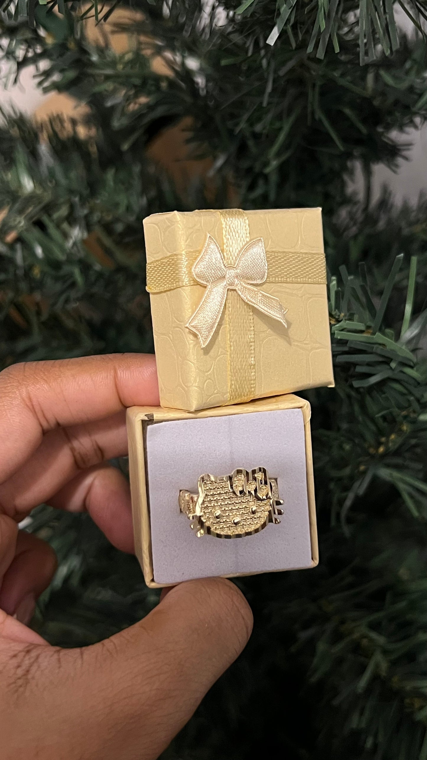 Hk Face Ring w Rx band