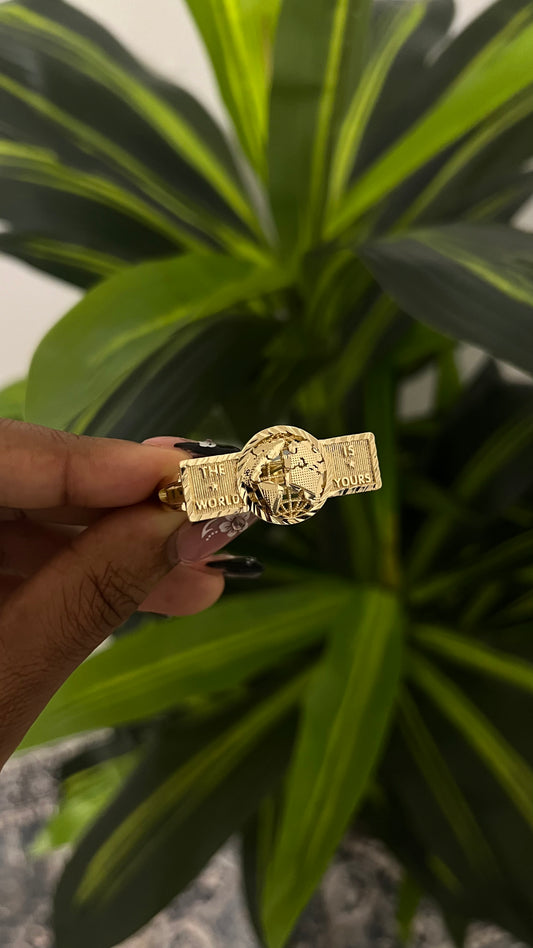 The world is yours ring