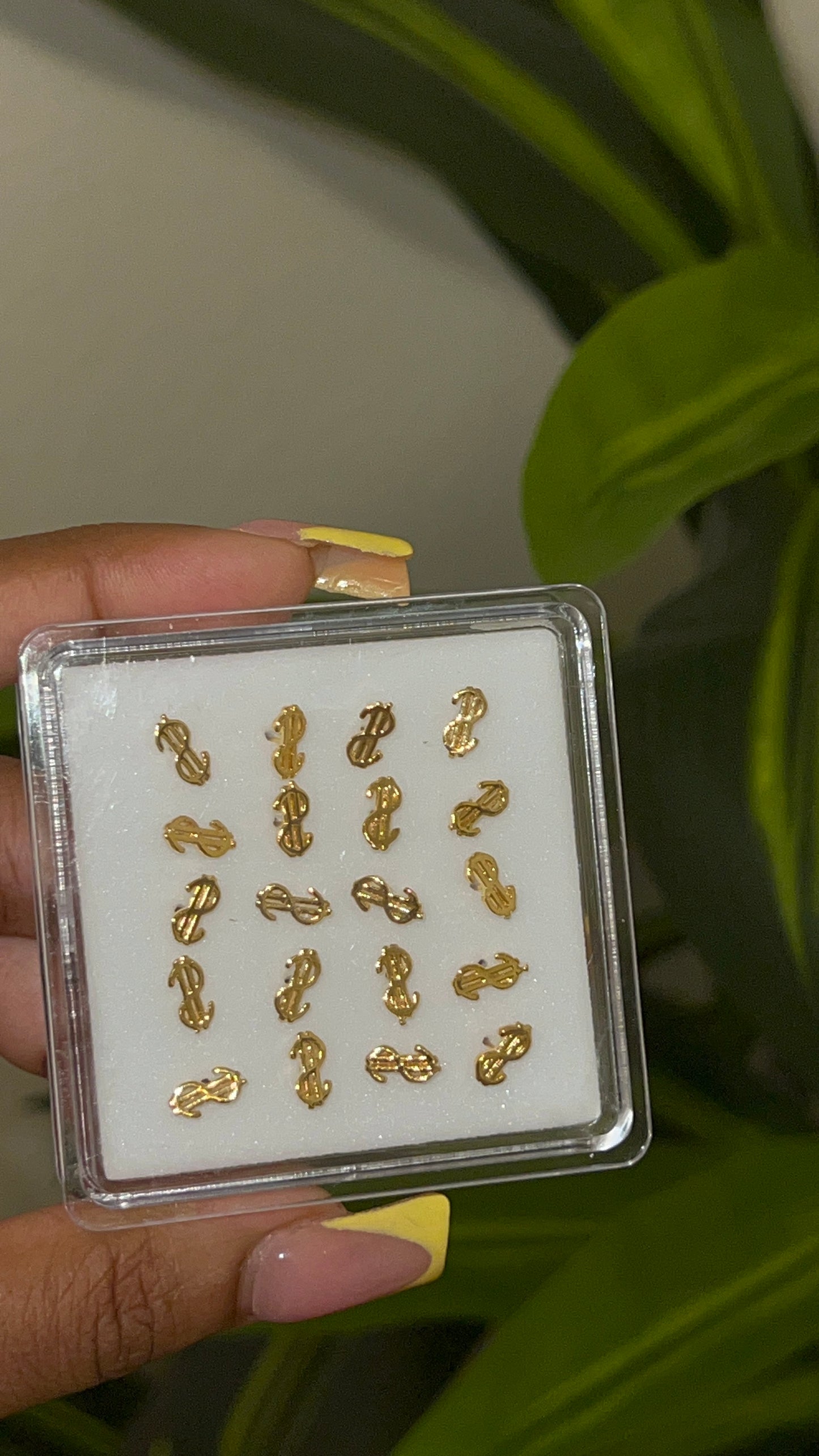 gold $ Nose stud