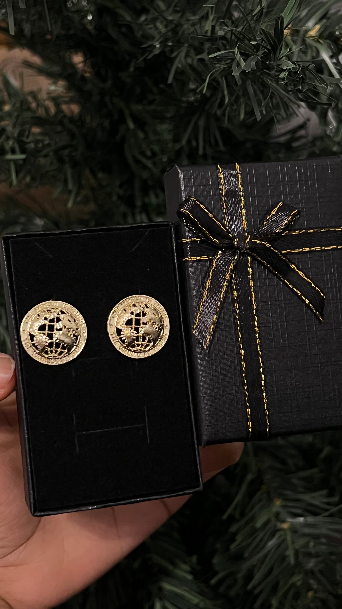 The world is yours earrings